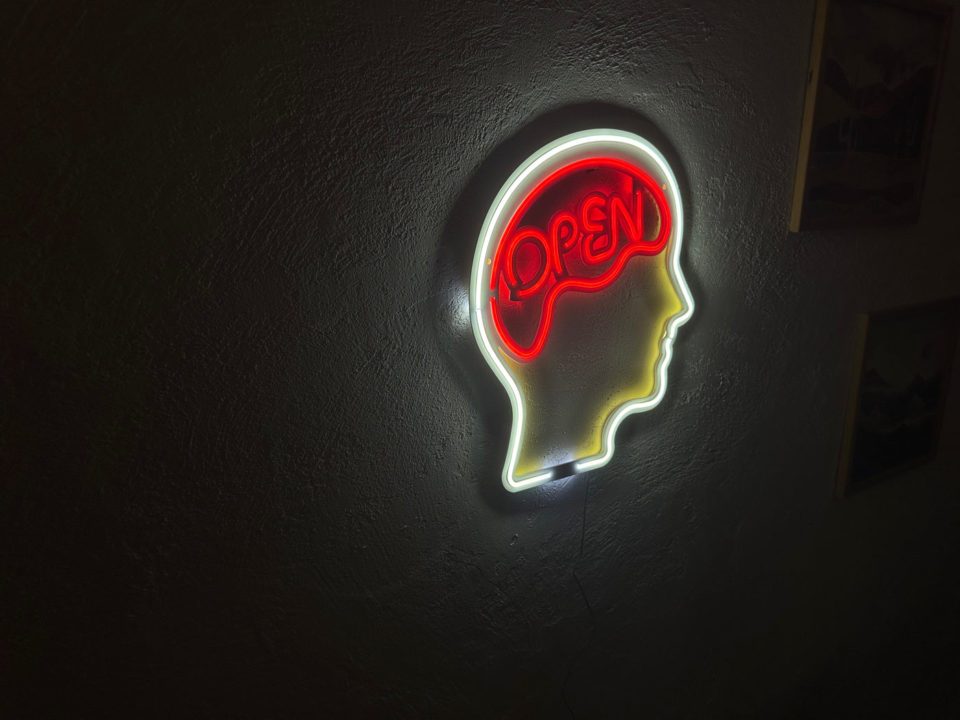 Open Mind Neon Metal Sign