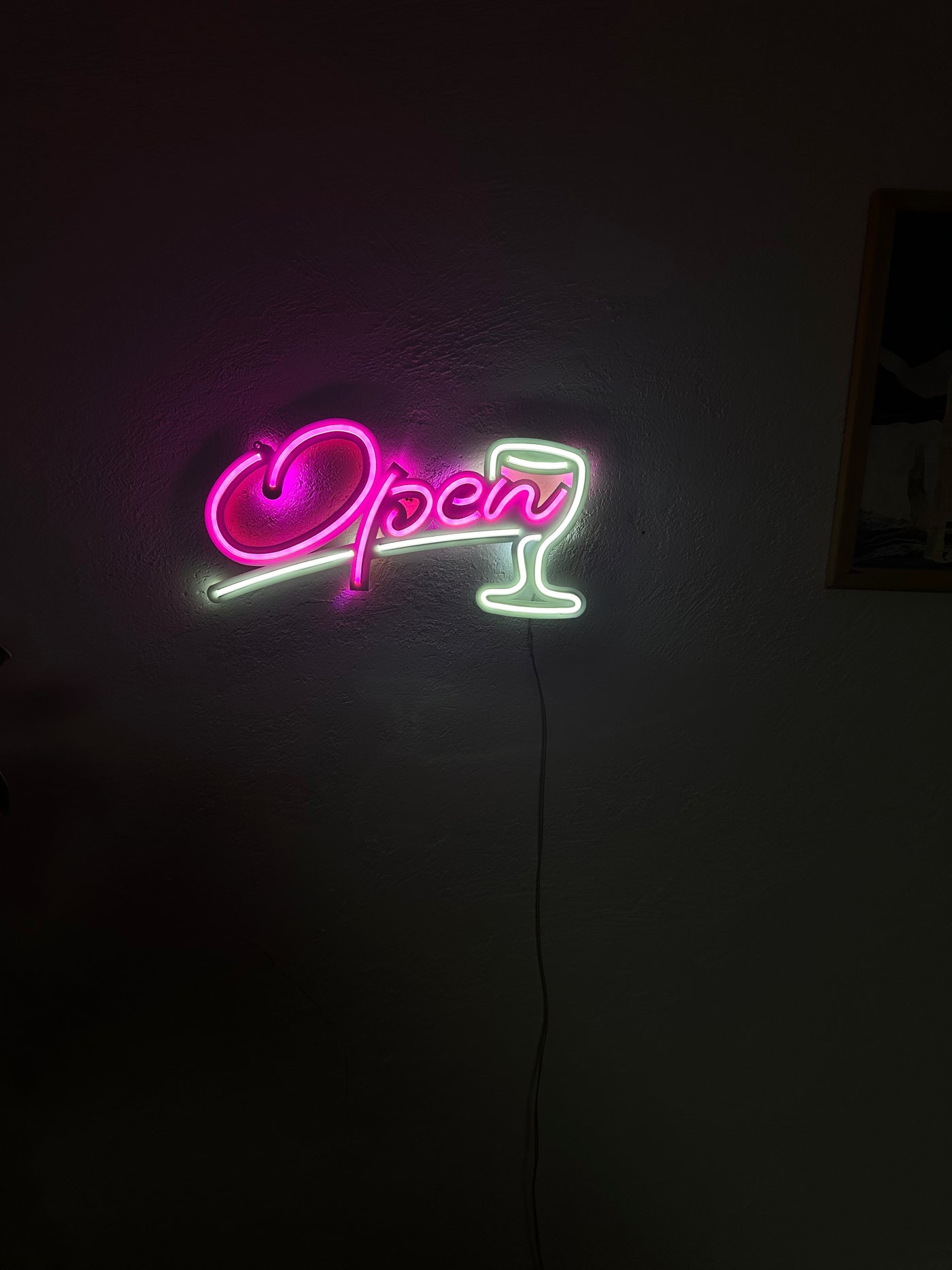 Open Door Neon Metal Sign