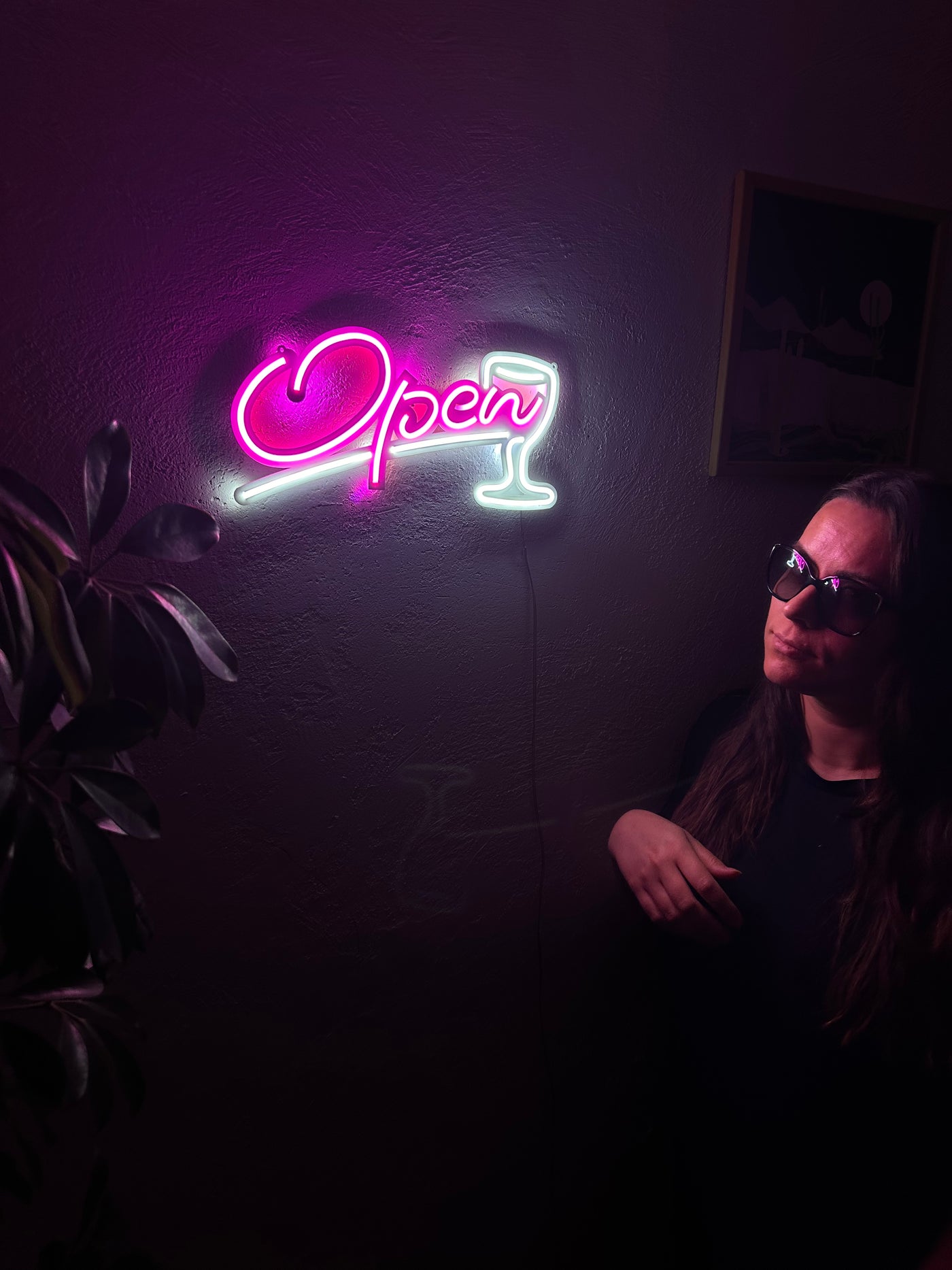 Open Door Neon Metal Sign