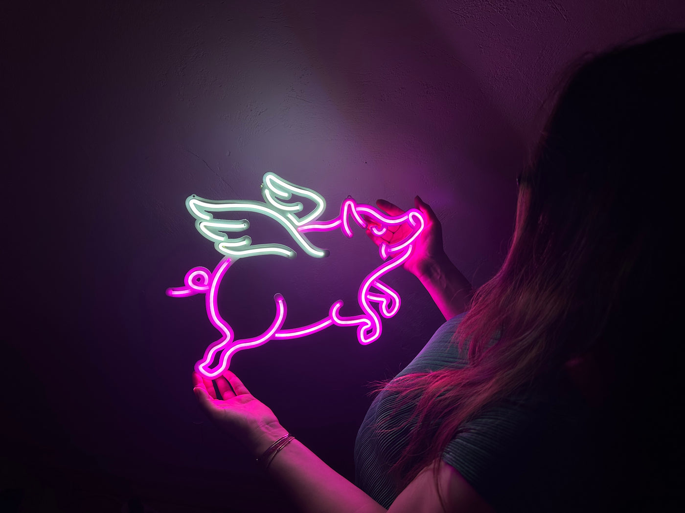 Piggy Neon Metal Sign