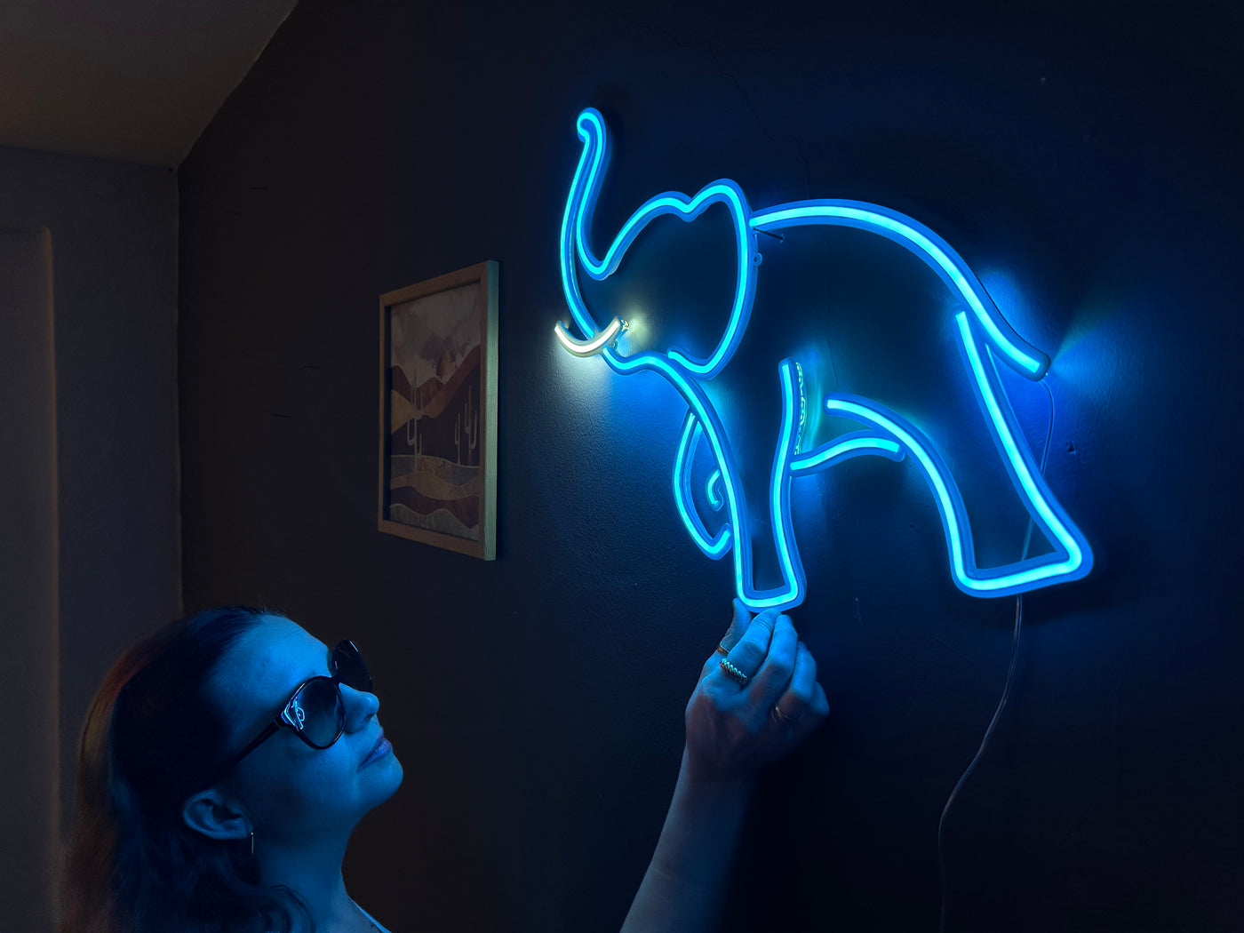 Elephant Neon Sign, Neon Metal Wall Art