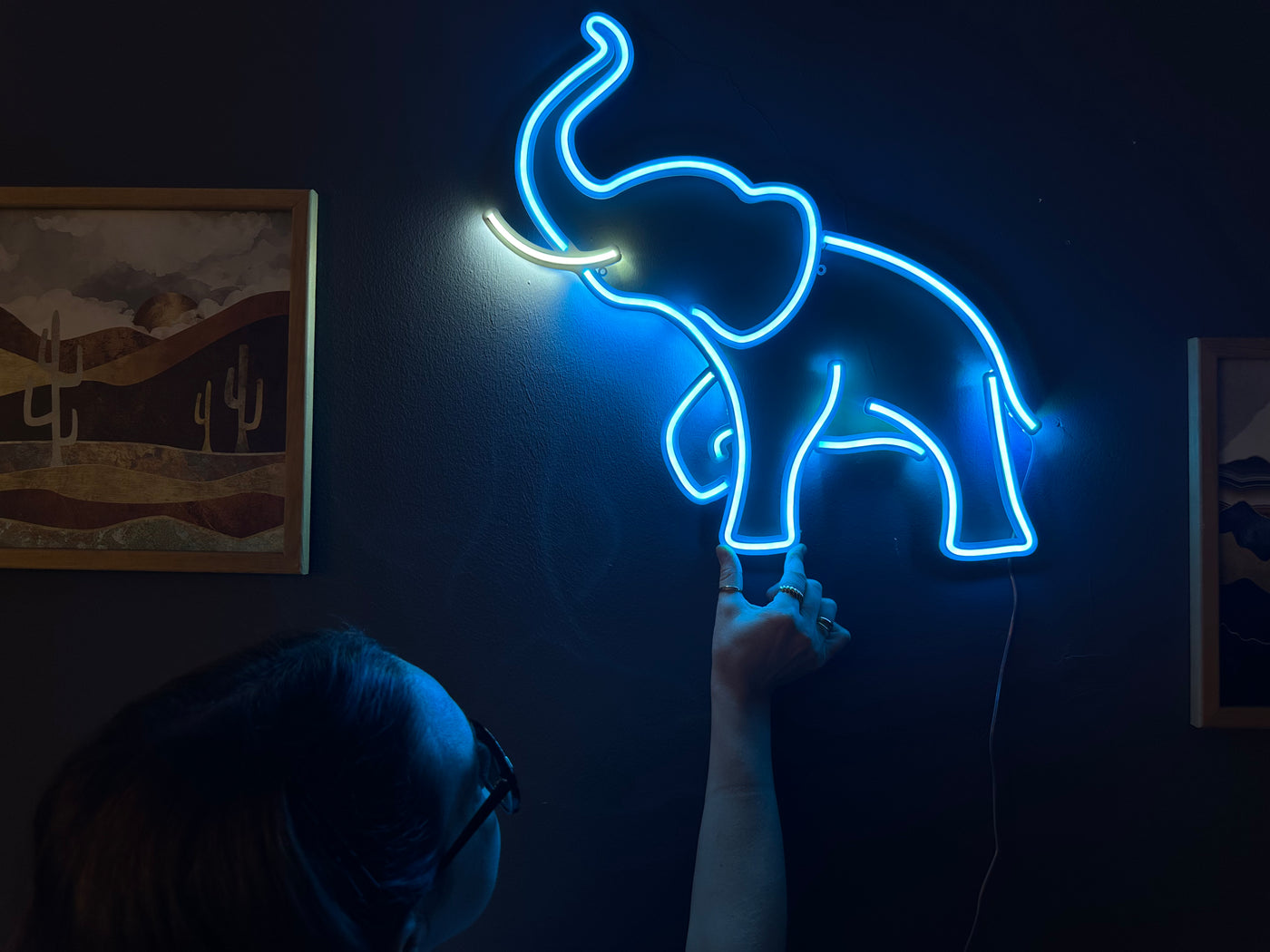 Elephant Neon Sign, Neon Metal Wall Art