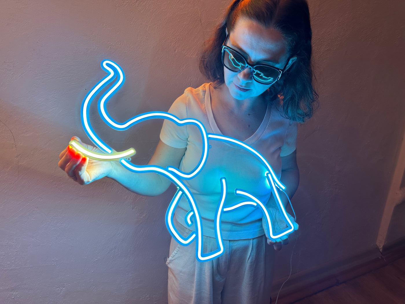 Elephant Neon Sign, Neon Metal Wall Art