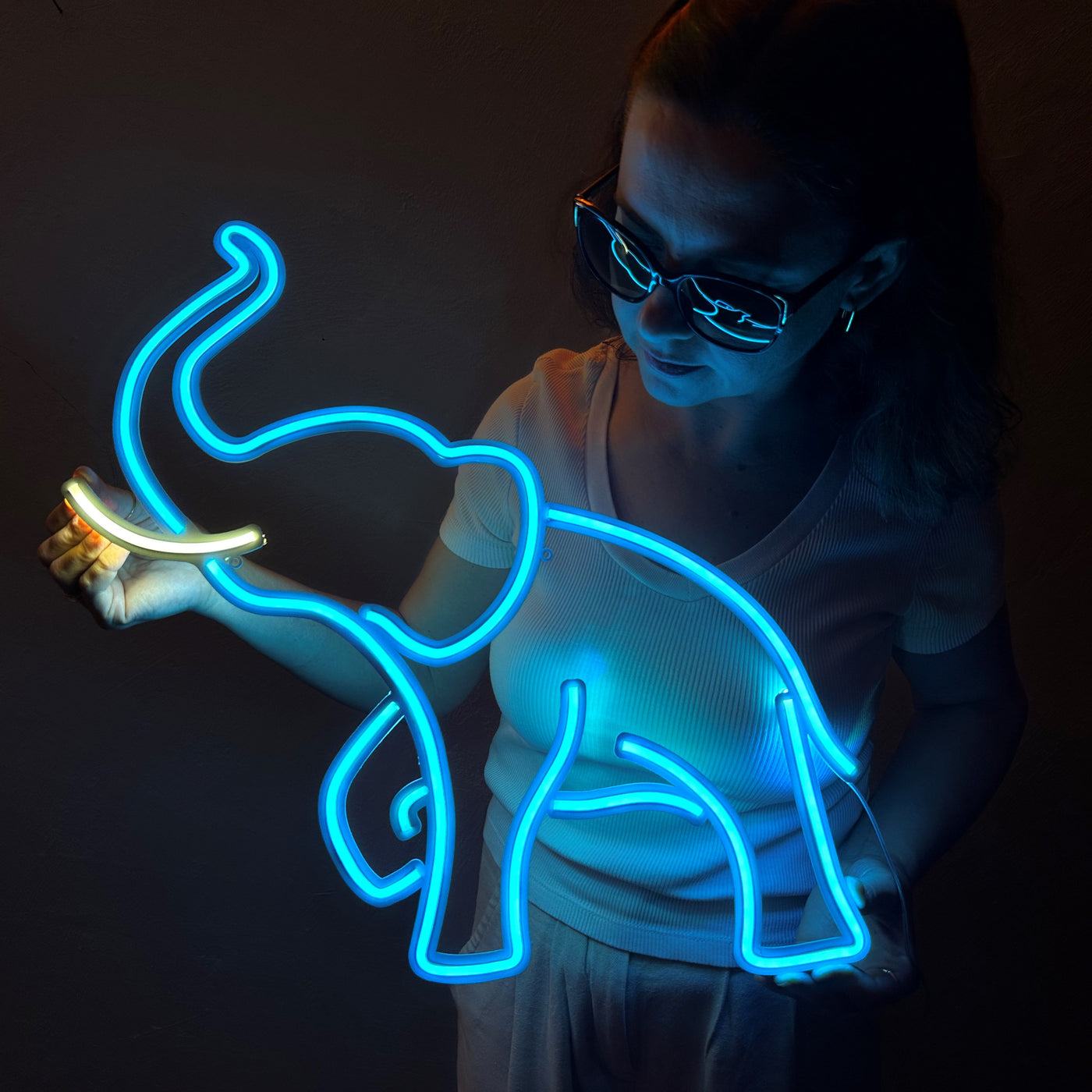 Elephant Neon Sign, Neon Metal Wall Art