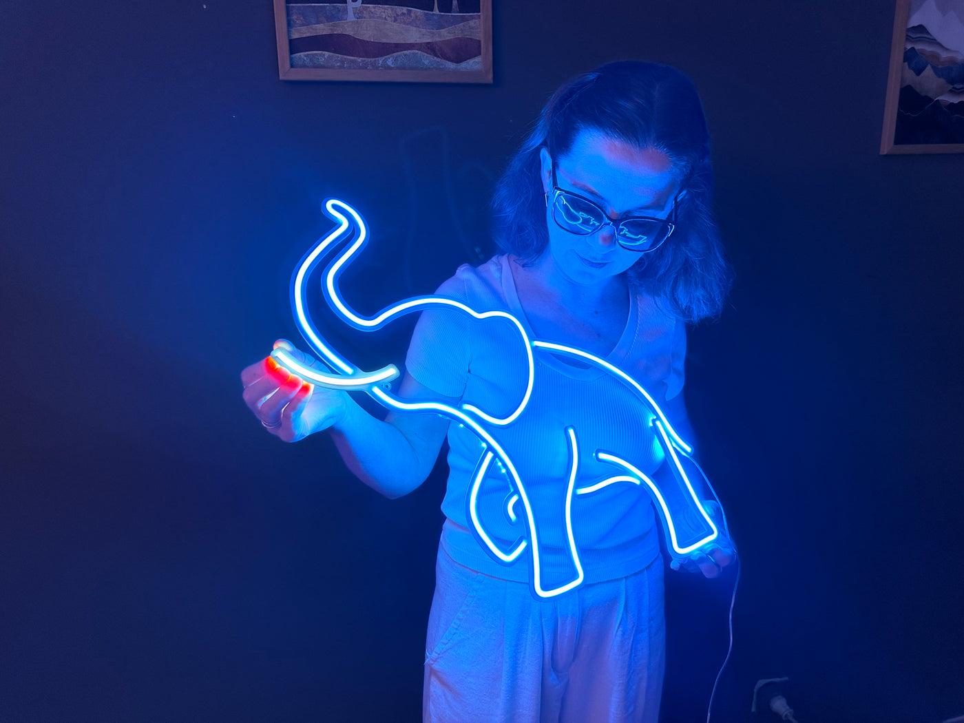 Elephant Neon Sign, Neon Metal Wall Art