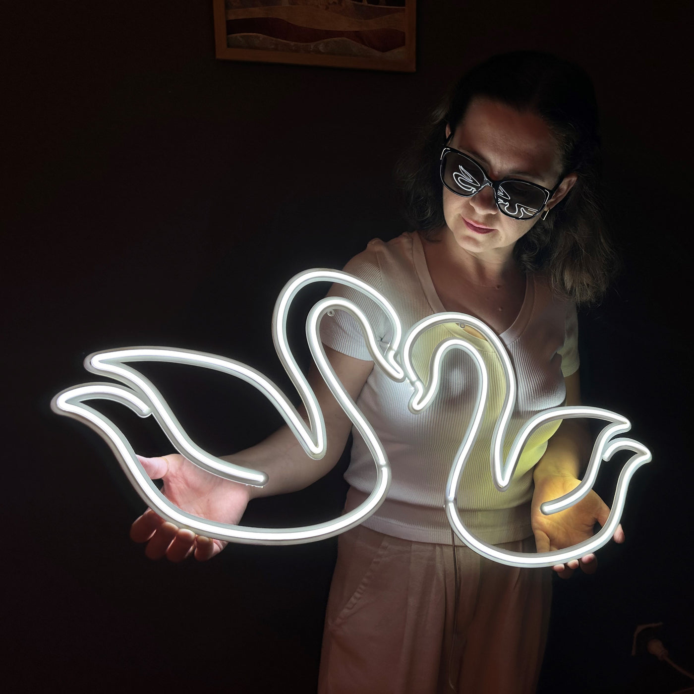 Swans Neon Sign, Neon Metal Wall Art