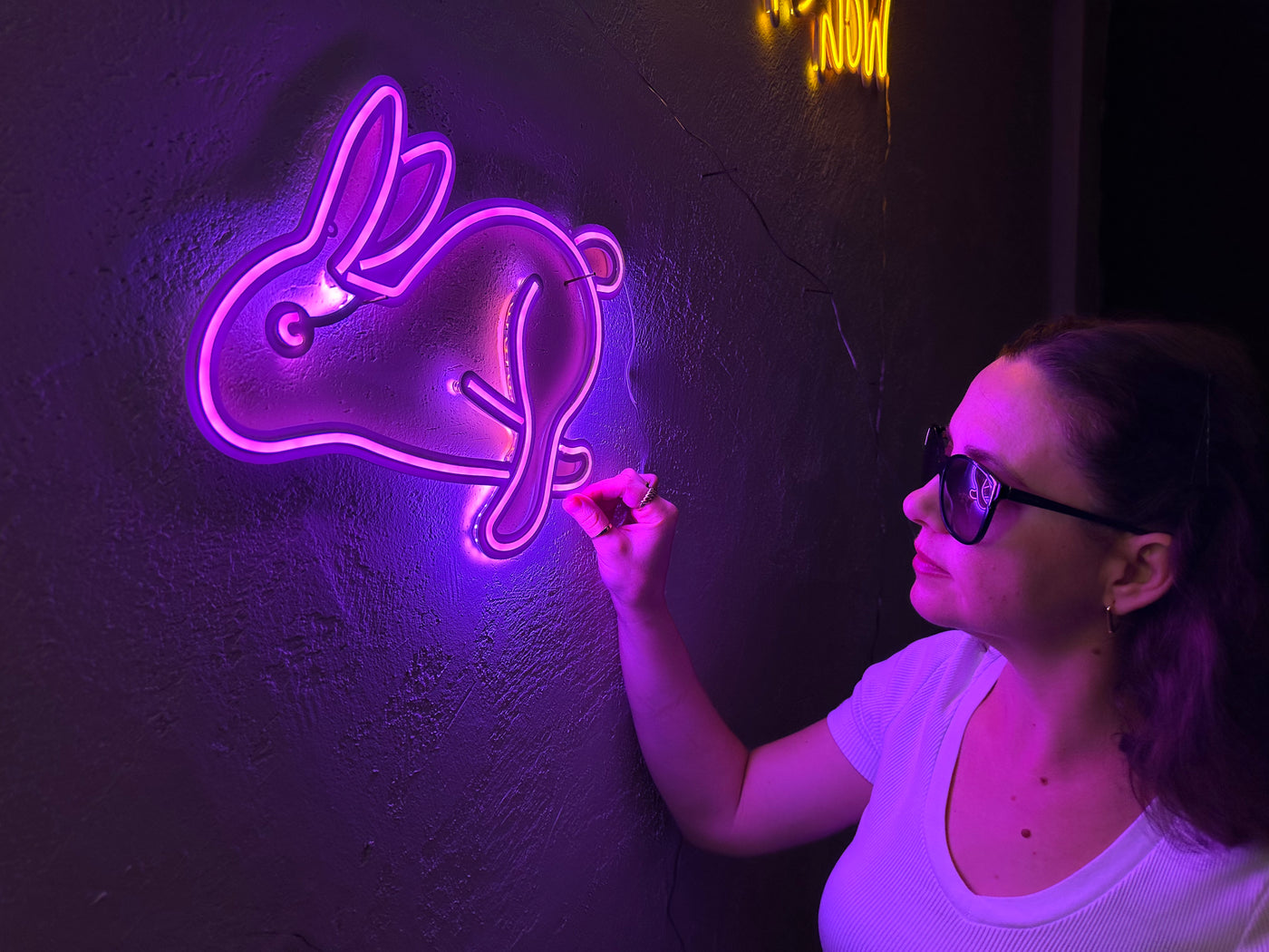 Rabbit Neon Metal Sign