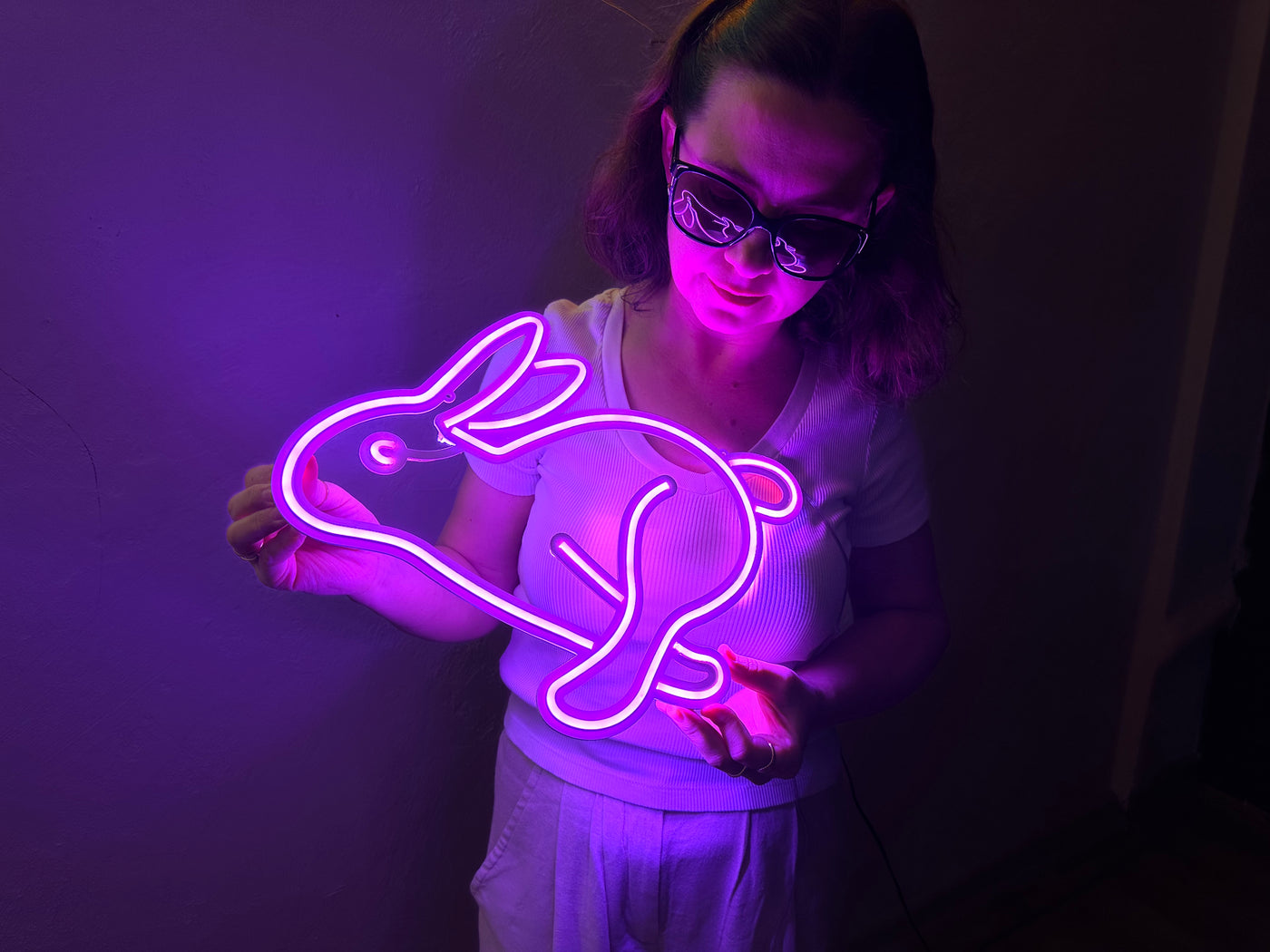 Rabbit Neon Metal Sign