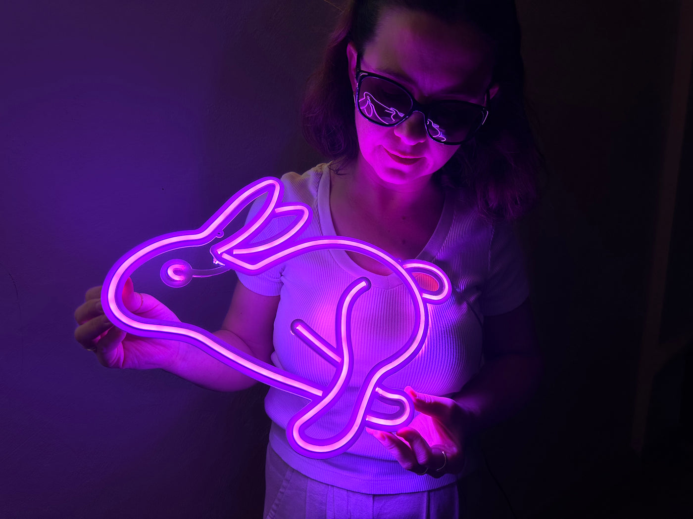 Rabbit Neon Metal Sign