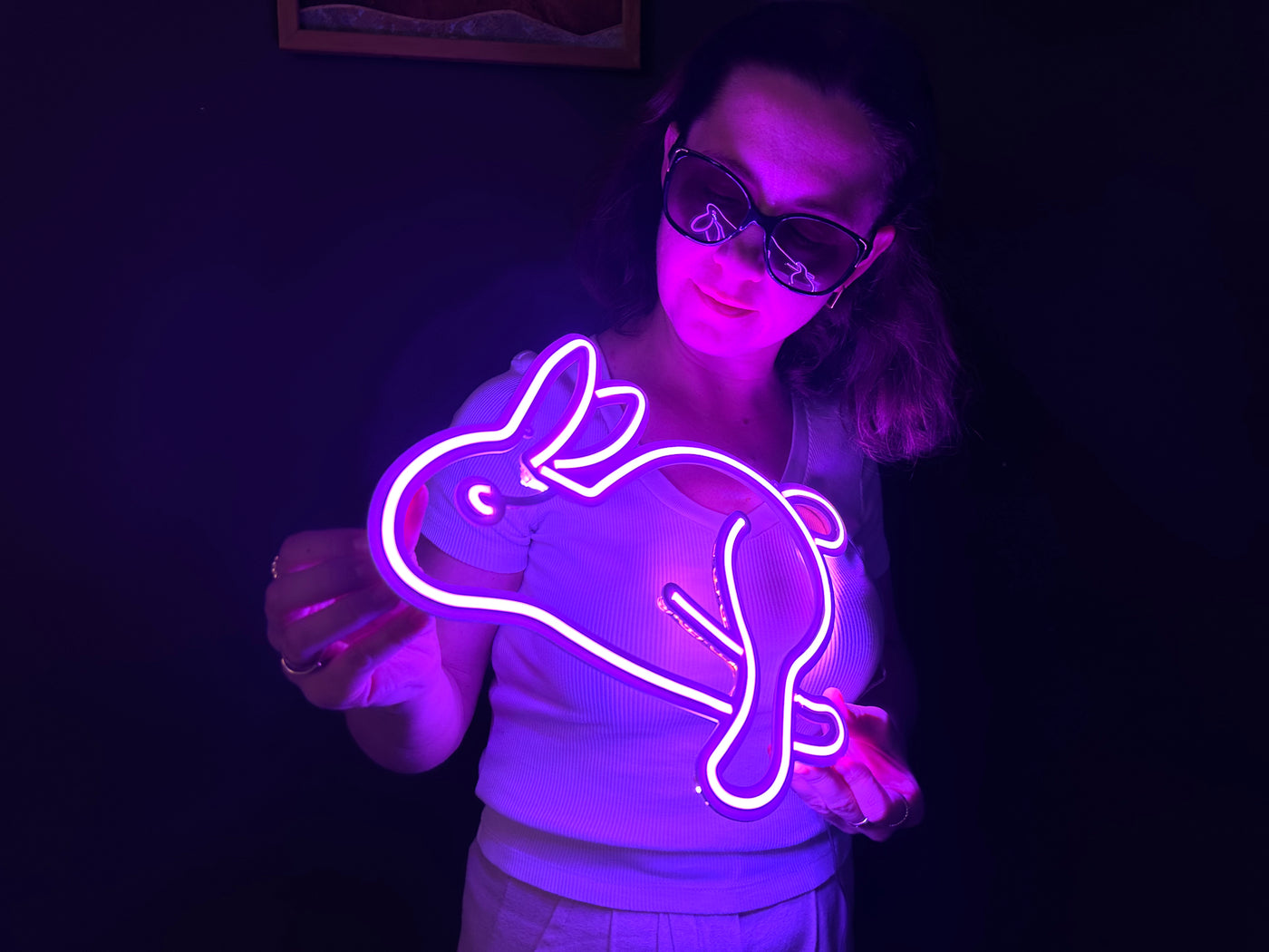 Rabbit Neon Metal Sign