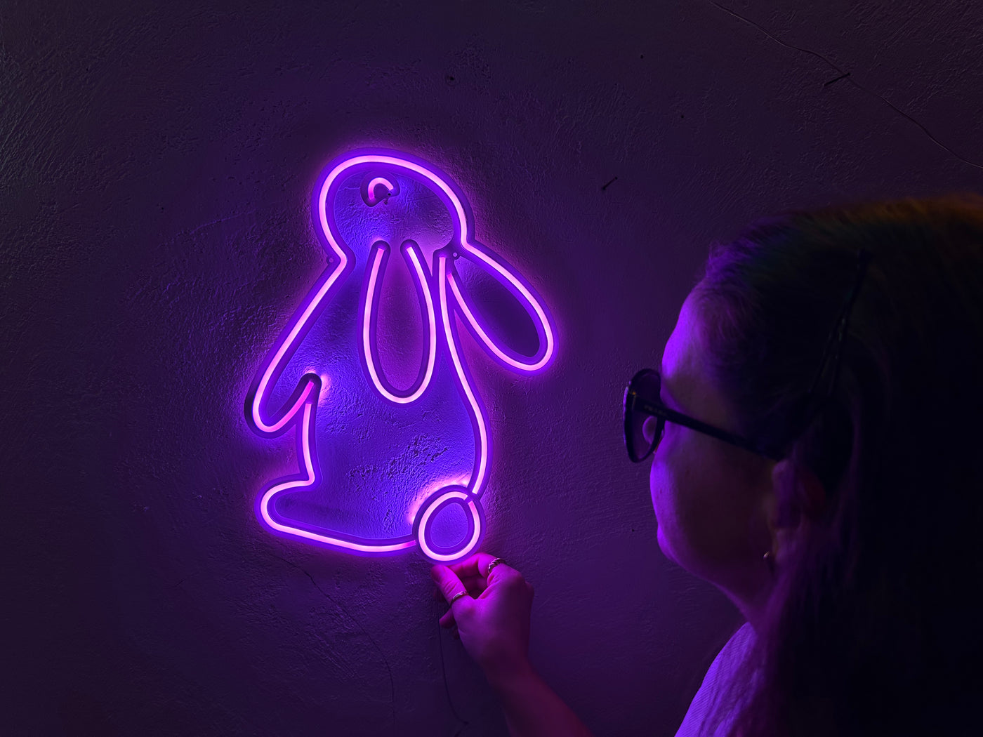 Rabbit 2 Neon Metal Sign