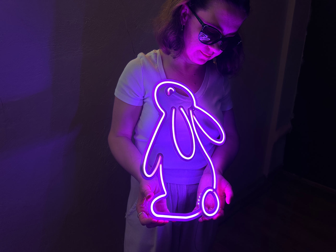 Rabbit 2 Neon Metal Sign