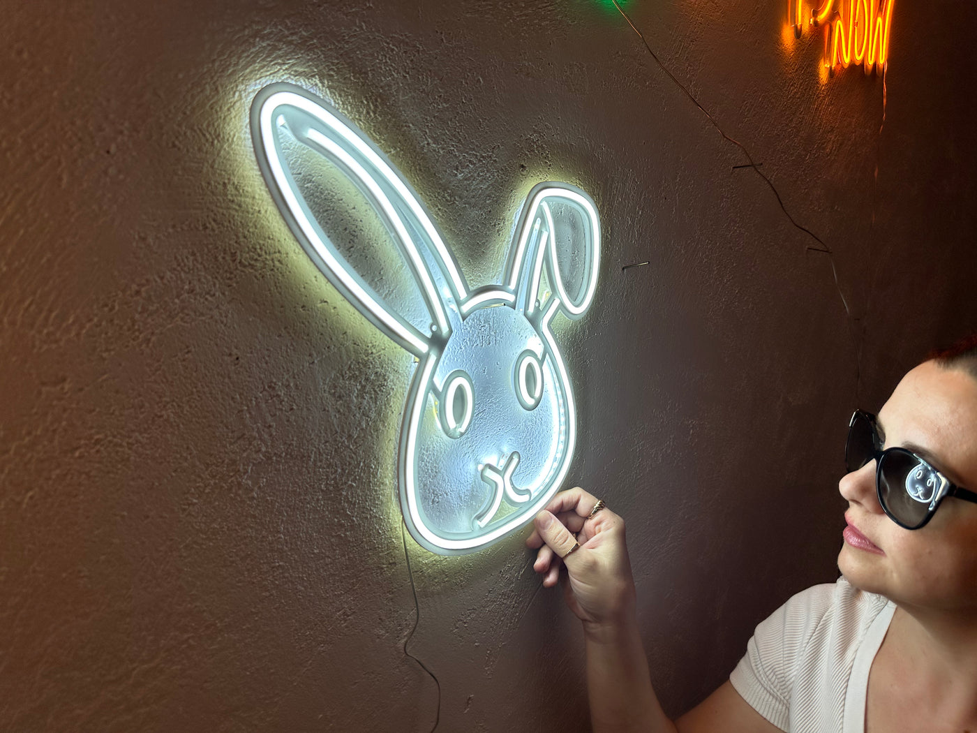 Rabbit 3 Neon Metal Sign