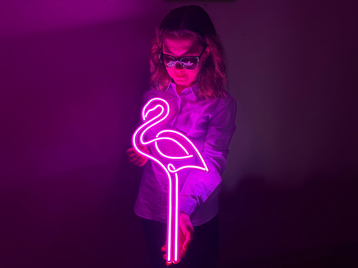 Flamingo Neon Sign, Neon Metal Wall Art