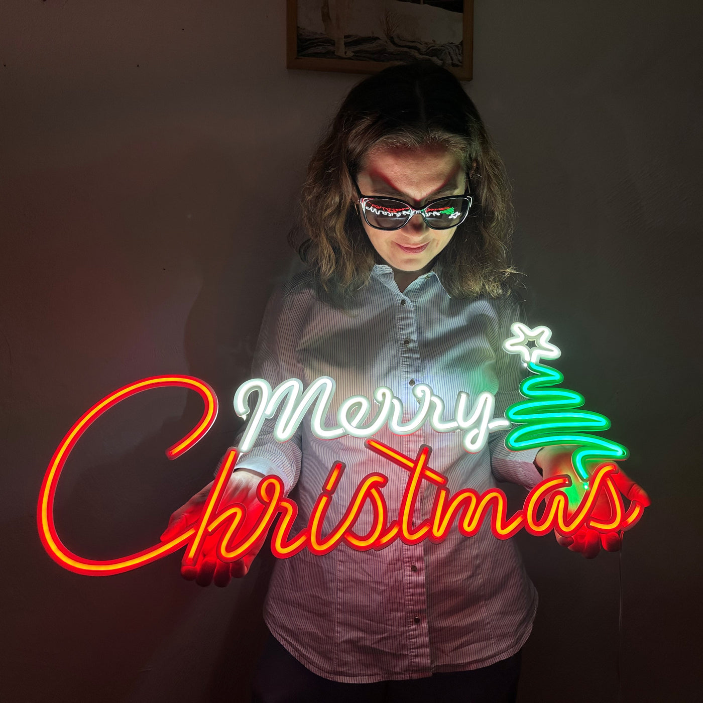 Merry Christmas Neon Sign, Neon Metal Wall Art